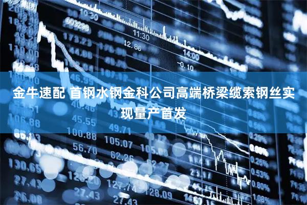 金牛速配 首钢水钢金科公司高端桥梁缆索钢丝实现量产首发